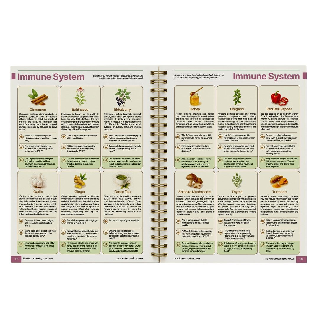 Natural Healing Handbook